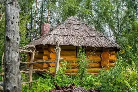 Зеленый остров - 1