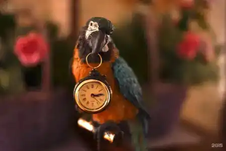 Лаванда Хаус - 14