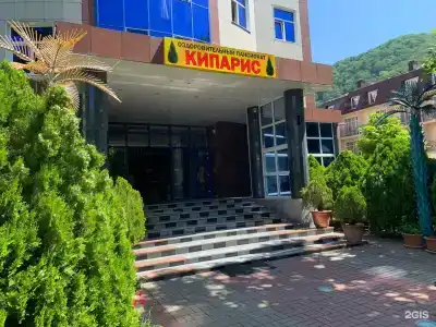 Кипарис - 5