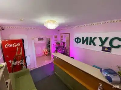 Фикус - 1