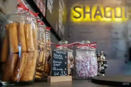 Shagdi - 2