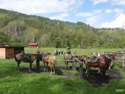 Чедоев Привал - 25