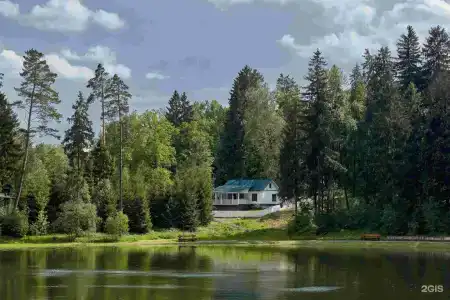 Царский лес - 23