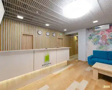 Кипарис - 13