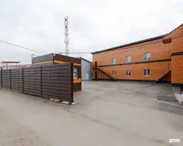 Кипарис - 36