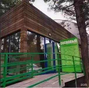 Комплекс Сосновый - 12
