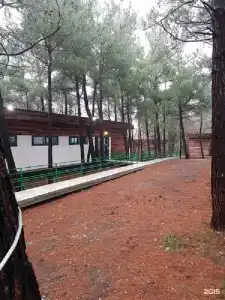 Комплекс Сосновый - 13