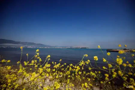 Вилла на Набережной - 48