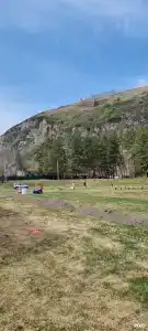 Сосновый берег - 19
