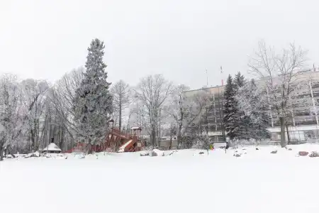 Репинская - 110