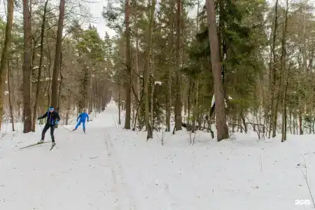 Переделкино - 48