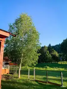 Зеленый домик - 10