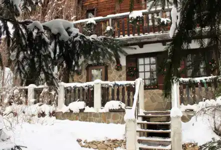 Dream Village Oksino - 39
