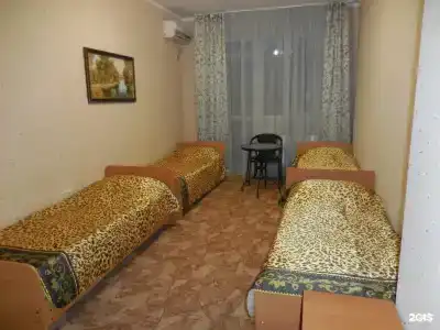 Диана - 11