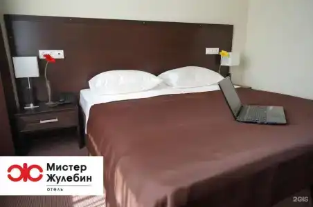 Мистер Жулебин - 43