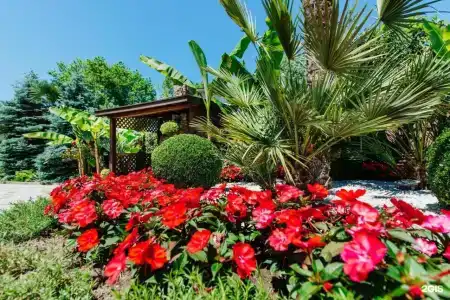 Черное Море - 20