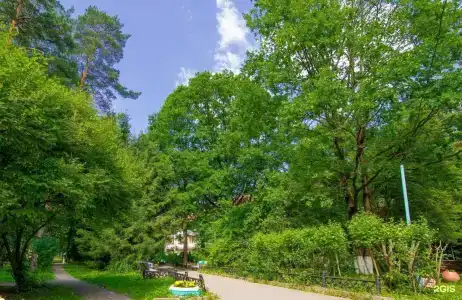 Переделкино - 25