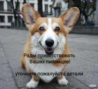 Резиденция Булгакова - 45