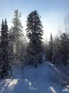 Снегеш - 4