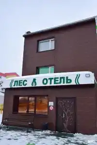 Лесотель - 25