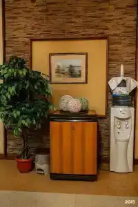 Разгуляй - 60