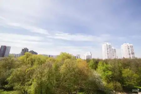 Богородское - 12