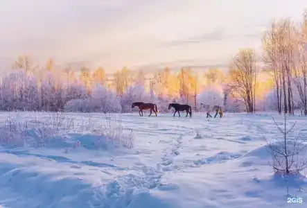 Легенды Леса - 27