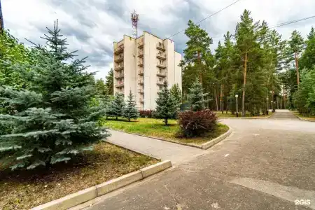 Русский лес - 47