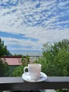 Командор - 23