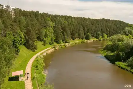 Сосны - 27