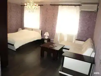 Зебра - 24