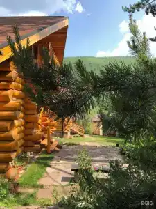 Альпийский - 19