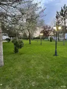 Турист - 21