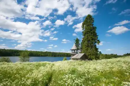 Крестики-Нолики - 11