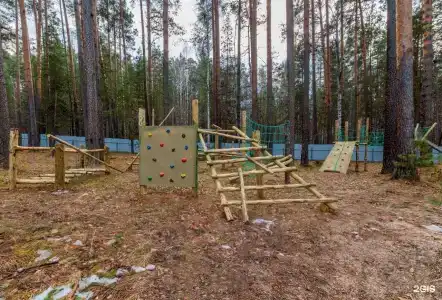 Лес - 46