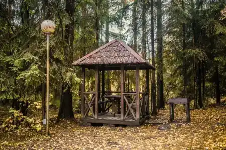 Cosmos Красное Озеро - 45