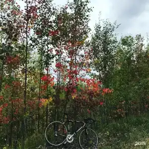 Флюгер - 17