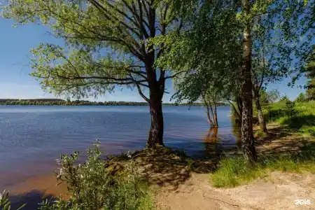 Калипсо - 0