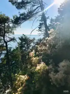 Парк Инал - 38