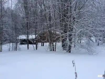 Дубки - 133