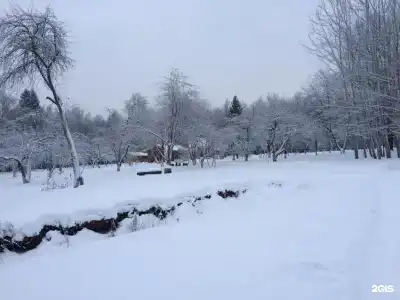 Дубки - 63