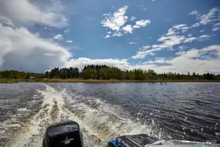 Любимка - 20