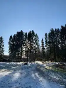 Любимка - 28