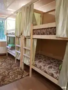 Деревянная сова - 17
