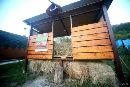 На опушке - 32