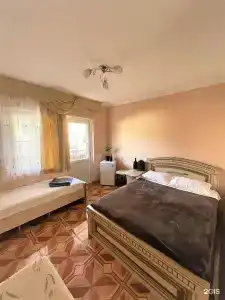 Киви и Цитрус - 38