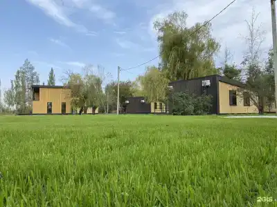 Тополя - 34
