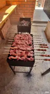 Fish Sense - 150