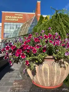 Ярославское подворье - 98