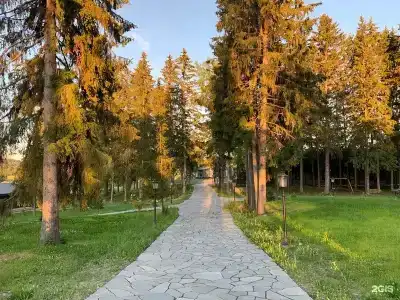 Кружево - 29